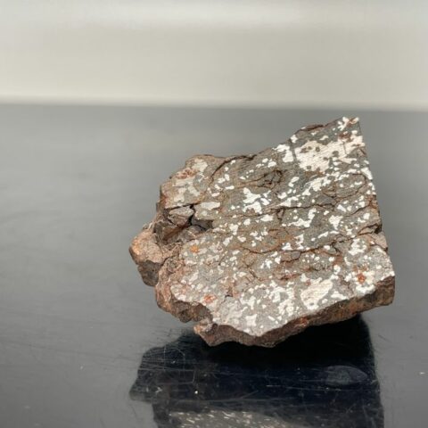 NWA 13858 - Météorite mésosidérite - rare (seulement 2.44kg trouvés) - coupe finale - 40.5 g