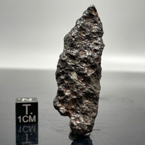 Exclusif - NWA 13573 - 1er au monde classé comme CVox3 - avec les CAI (substance la plus ancienne du système solaire) - 14.2 g